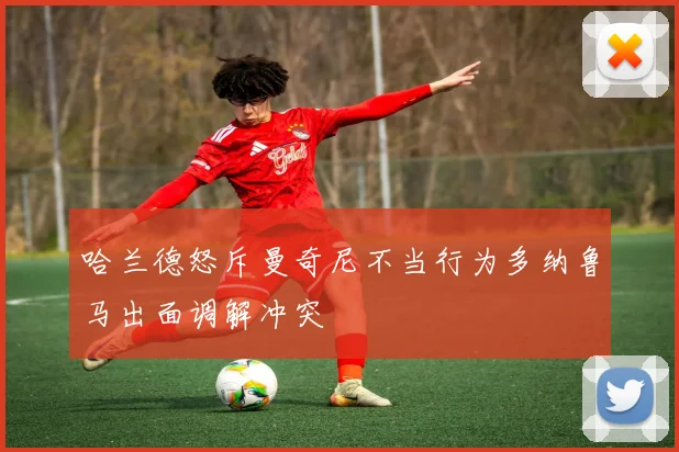 哈兰德怒斥曼奇尼不当行为多纳鲁马出面调解冲突