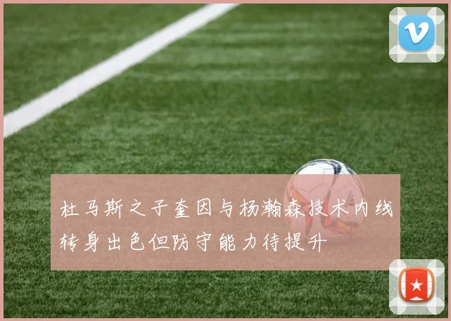 杜马斯之子奎因与杨瀚森技术内线转身出色但防守能力待提升