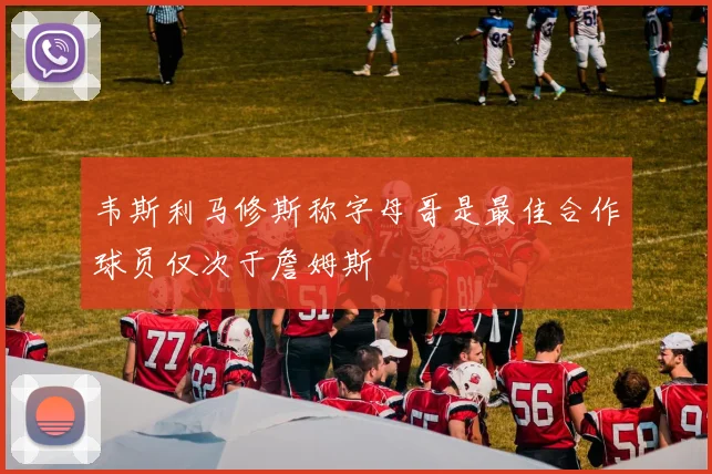 韦斯利马修斯称字母哥是最佳合作球员仅次于詹姆斯