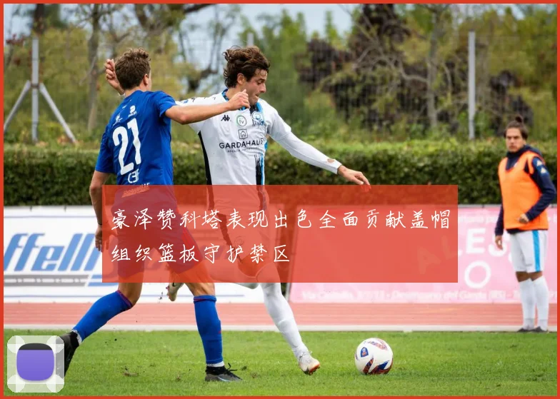 豪泽赞科塔表现出色全面贡献盖帽组织篮板守护禁区