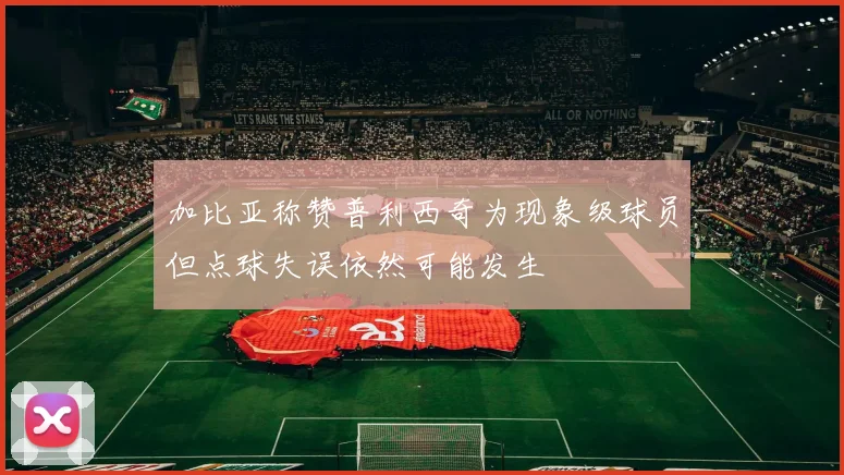 加比亚称赞普利西奇为现象级球员但点球失误依然可能发生
