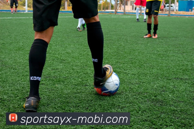 爱游戏平台生态图